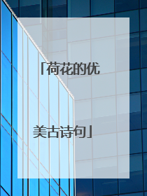 荷花的优美古诗句