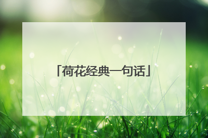 荷花经典一句话