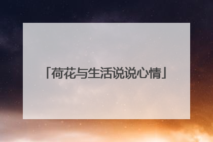 荷花与生活说说心情