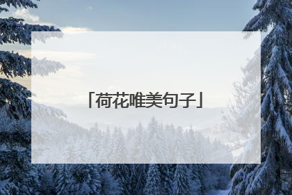 荷花唯美句子