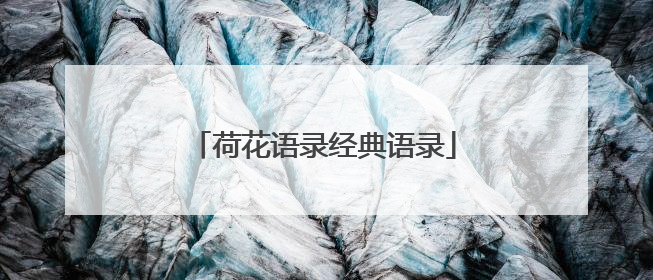 荷花语录经典语录