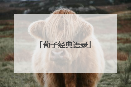 荀子经典语录