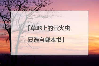 草地上的萤火虫夏选自哪本书