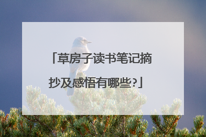 草房子读书笔记摘抄及感悟有哪些?