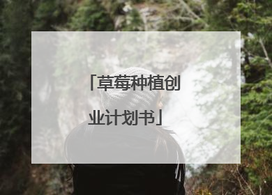 草莓种植创业计划书