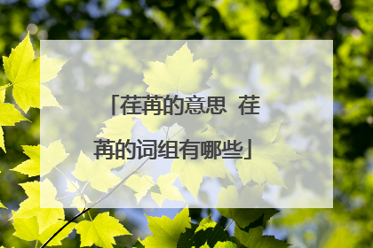 荏苒的意思 荏苒的词组有哪些