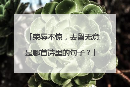荣辱不惊，去留无意是哪首诗里的句子？