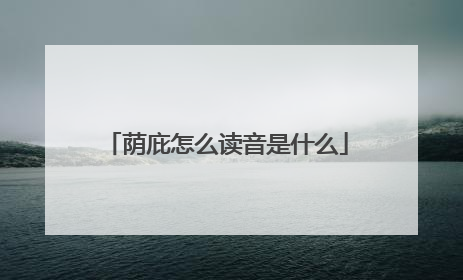 荫庇怎么读音是什么