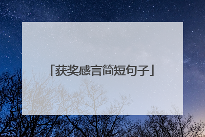 获奖感言简短句子