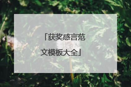 获奖感言范文模板大全