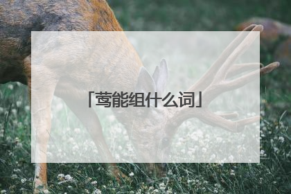 莺能组什么词