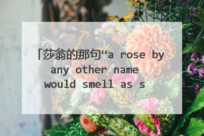 莎翁的那句“a rose by any other name would smell as sweet”怎么翻译,谢谢