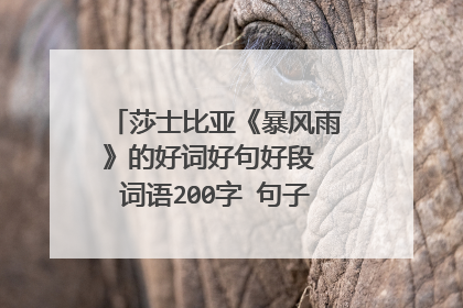 莎士比亚《暴风雨》的好词好句好段 词语200字 句子300段落两段