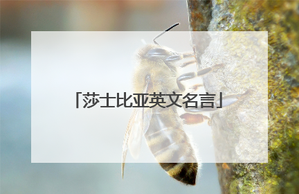 莎士比亚英文名言