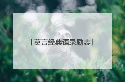 莫言经典语录励志