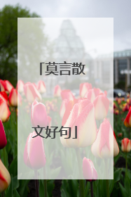 莫言散文好句
