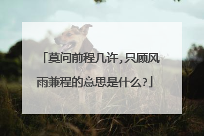 莫问前程几许,只顾风雨兼程的意思是什么?