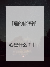 莲的佛语禅心是什么?