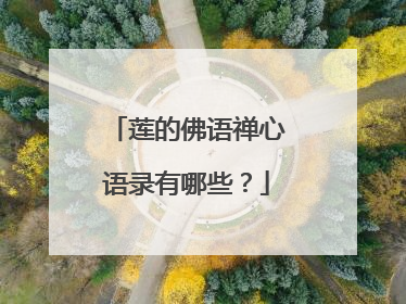 莲的佛语禅心语录有哪些？