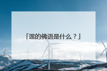 莲的佛语是什么？