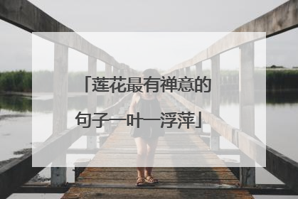 莲花最有禅意的句子一叶一浮萍