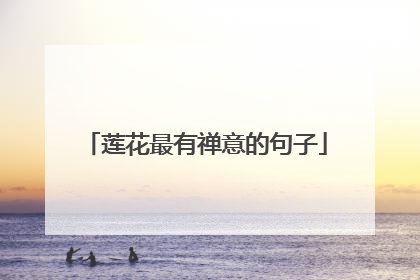 莲花最有禅意的句子