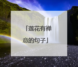 莲花有禅意的句子