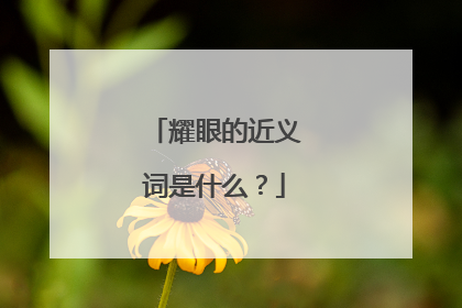 耀眼的近义词是什么？