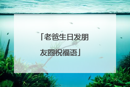 老爸生日发朋友圈祝福语