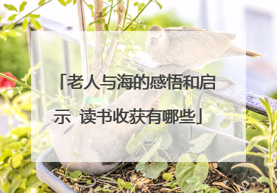 老人与海的感悟和启示 读书收获有哪些