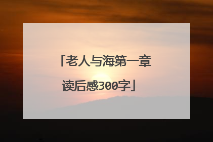 老人与海第一章读后感300字