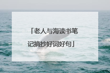 老人与海读书笔记摘抄好词好句