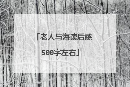 老人与海读后感500字左右