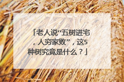 老人说“五树进宅,人穷家败”,这5种树究竟是什么?