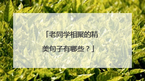 老同学相聚的精美句子有哪些？