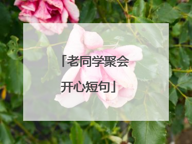 老同学聚会开心短句