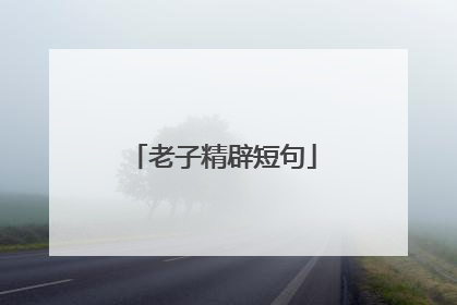老子精辟短句
