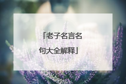 老子名言名句大全解释