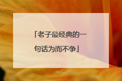 老子最经典的一句话为而不争