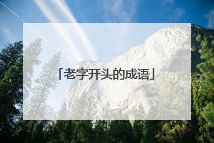 老字开头的成语
