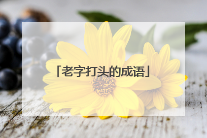 老字打头的成语