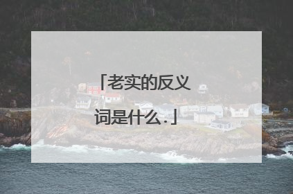 老实的反义词是什么.