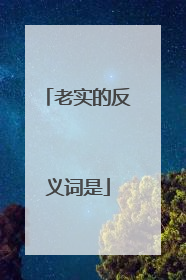 老实的反义词是