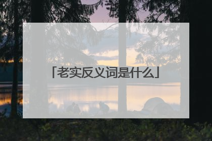 老实反义词是什么