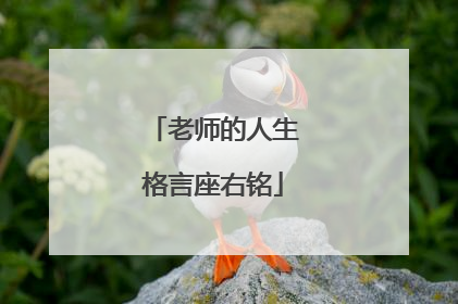老师的人生格言座右铭
