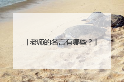 老师的名言有哪些？