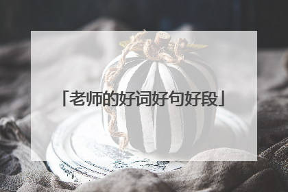 老师的好词好句好段