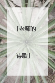 老师的诗歌
