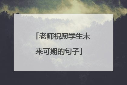 老师祝愿学生未来可期的句子