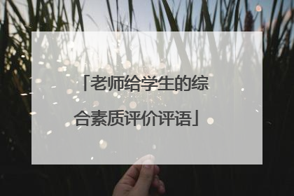 老师给学生的综合素质评价评语